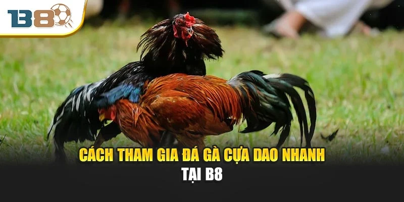 Cách tham gia đá gà cựa dao nhanh tại B8