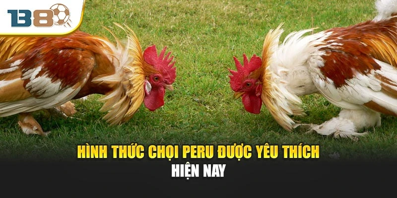 Hình thức chọi Peru được yêu thích hiện nay