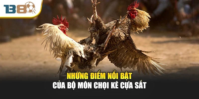 Đá Gà Cựa Sắt – Cuộc Đấu Đỉnh Cao Của Tốc Độ Và Chiến Thuật 2 Những điểm nổi bật của bộ môn chọi kê cựa sắt